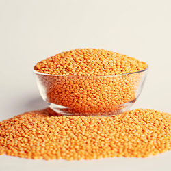 Lentil (মসুর ডাল)